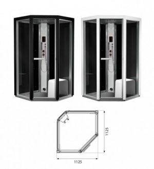 Пародушевая кабина Tylo Impression i110/c